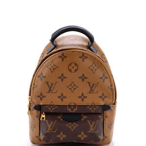 Louis Vuitton Palm Springs Backpack #218304L20B